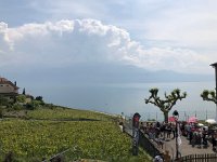 IMG 7886  view from Epesses