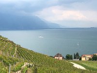 IMG 7891  the boat chug on