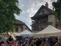 IMG 7898  it was hopping!