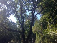 IMG 1862  parking lot of nature center