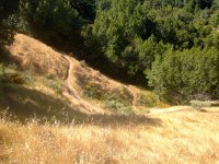 IMG 1866  to annual grass prairie