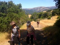 IMG 1868  gaining some elevatoin the typical Marin landscape emerges