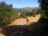 IMG 1869  Frank and hills