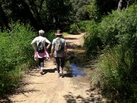 IMG 1872  the valley was well wooded and even wet