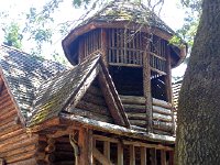 IMG 1874  the woodpeckers had worked over this structure