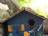 IMG 7954  from another era perhaps