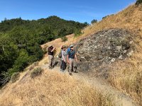 IMG 7957  quite varied vegetation