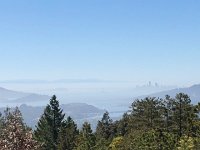 IMG 7991  the bay and the city