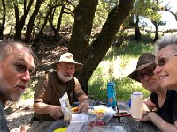 IMG 8010  lunch in the shade