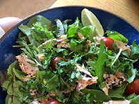 IMG 8016  with leftover salmon