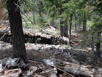 IMG 1935  disturbed for probably 130 years