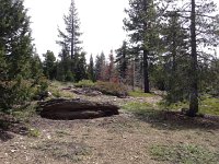 IMG 1937  searching for a foundation we swore we could see on Google Earth; I think it was an illusion