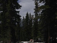 IMG 1948  sun cups in soft snow