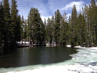 IMG 1952  melt pond/meadow