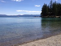 IMG 1962  pines on the point