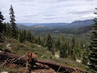 IMG 1982  Bye-Bye Basin!