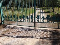 IMG 1984  Where the Iris Craze Began