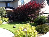 IMG 2006  nice treatment of the front