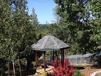 IMG 2008  aviary now with a bench