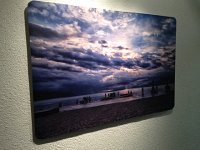 IMG 1575  great photo!