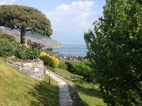 IMG 1594  Francine&#39;s lower yard