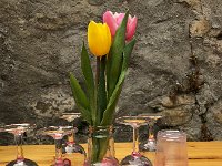 IMG 7239  decor for tasting