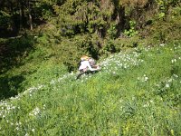 IMG 1602  the photographer at work