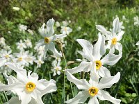 IMG 7250  more detail