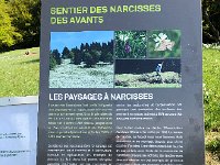 IMG 7257  what you need to know