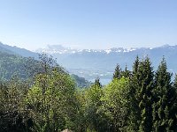 IMG 7258  looking up the Chablais