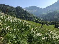 IMG 7263  close to Les Avants