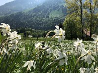IMG 7264  looking across the valley