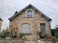 IMG 7363  wall garden