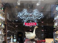 IMG 7381  based on the goose