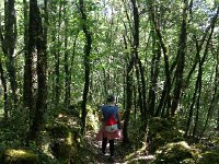 IMG 1707  new growth