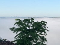 IMG 7384  of the morning fog