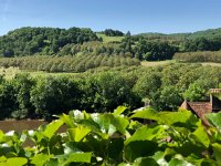 IMG 7393  Walnut groves across the river