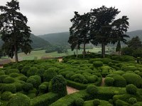 IMG 4336  stunning even!