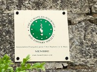 IMG 7421  Topiary Society?