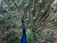 IMG 7431  how beautiful!