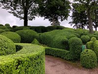 IMG 7439  eye-catching