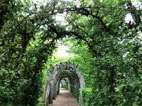 IMG 7440  walking to view point