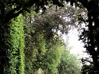 IMG 7443  it goes quite a ways