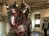 IMG 7479  armored horse and knight