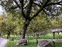 IMG 7493  this must be the place