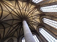 IMG 7825  The Palm Tree