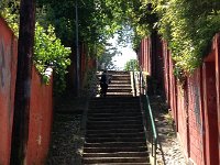 IMG 1619  climbing to the park