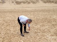 IMG 1653  so many shells