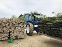 IMG 7318  estuary of mussels and oysters
