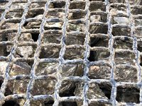 IMG 7320  a real agriculture